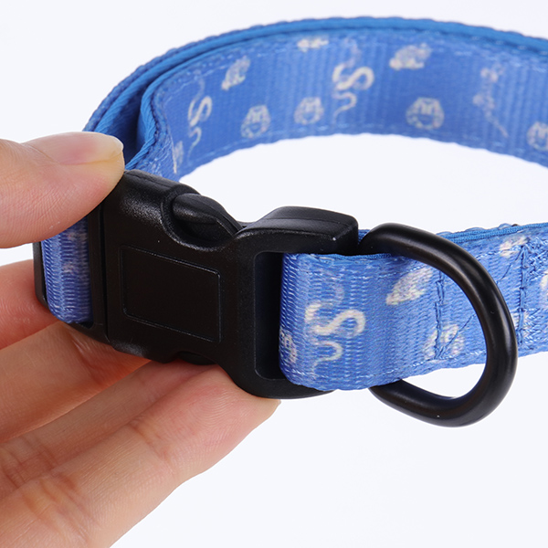 OKEYPETS Offre spéciale : accessoires pour chiens personnalisés gratuits, laisse et collier à prix avantageux. 11