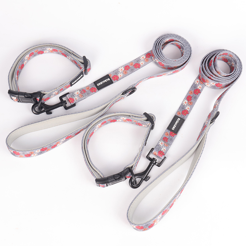 OKEYPETS Offre spéciale : accessoires pour chiens personnalisés gratuits, laisse et collier à prix avantageux. 19