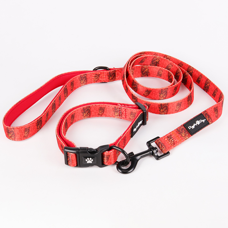 OKEYPETS Offre spéciale : accessoires pour chiens personnalisés gratuits, laisse et collier à prix avantageux. 23