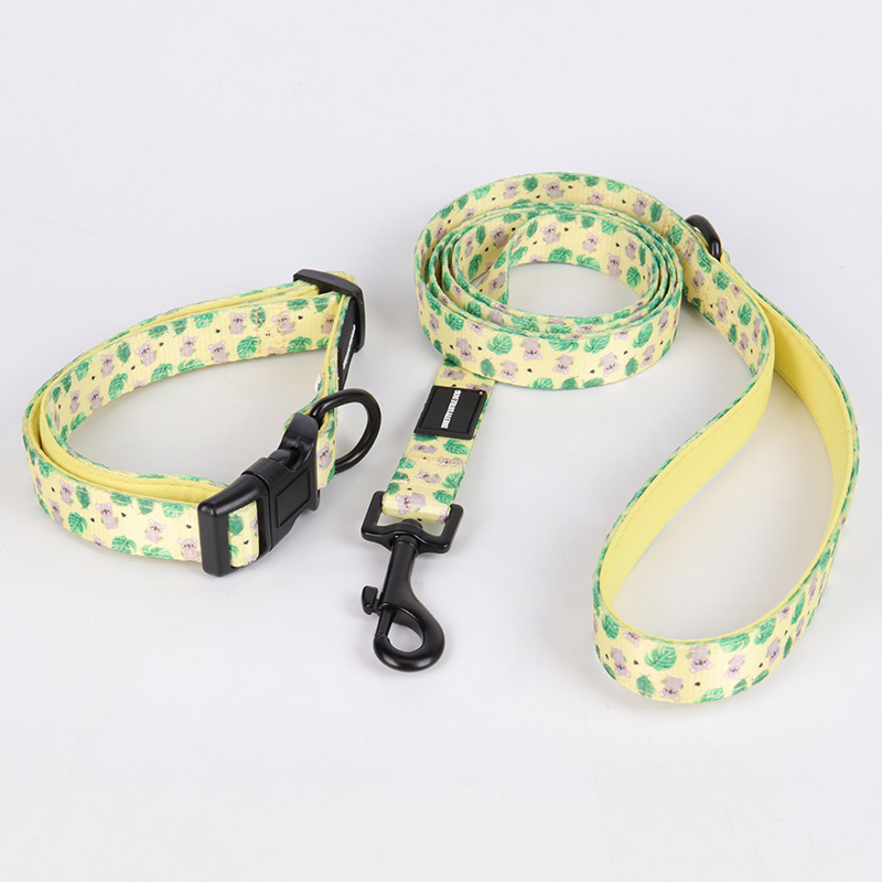 OKEYPETS Offre spéciale : accessoires pour chiens personnalisés gratuits, laisse et collier à prix avantageux. 21