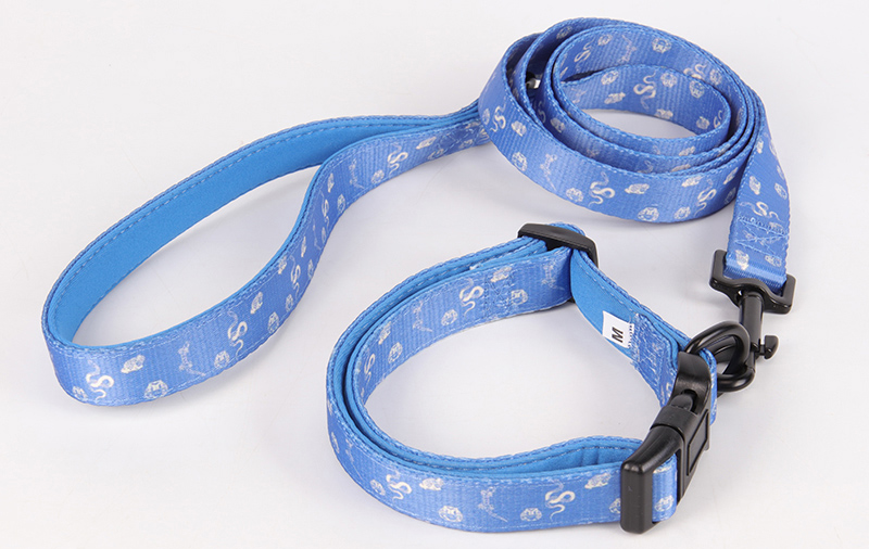 OKEYPETS Offre spéciale : accessoires pour chiens personnalisés gratuits, laisse et collier à prix avantageux. 9