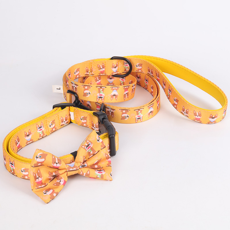 OKEYPETS Offre spéciale : accessoires pour chiens personnalisés gratuits, laisse et collier à prix avantageux. 17