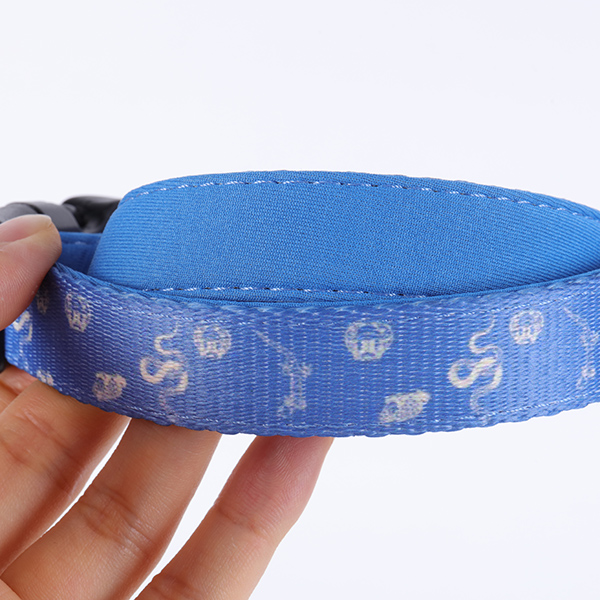 OKEYPETS Offre spéciale : accessoires pour chiens personnalisés gratuits, laisse et collier à prix avantageux. 10