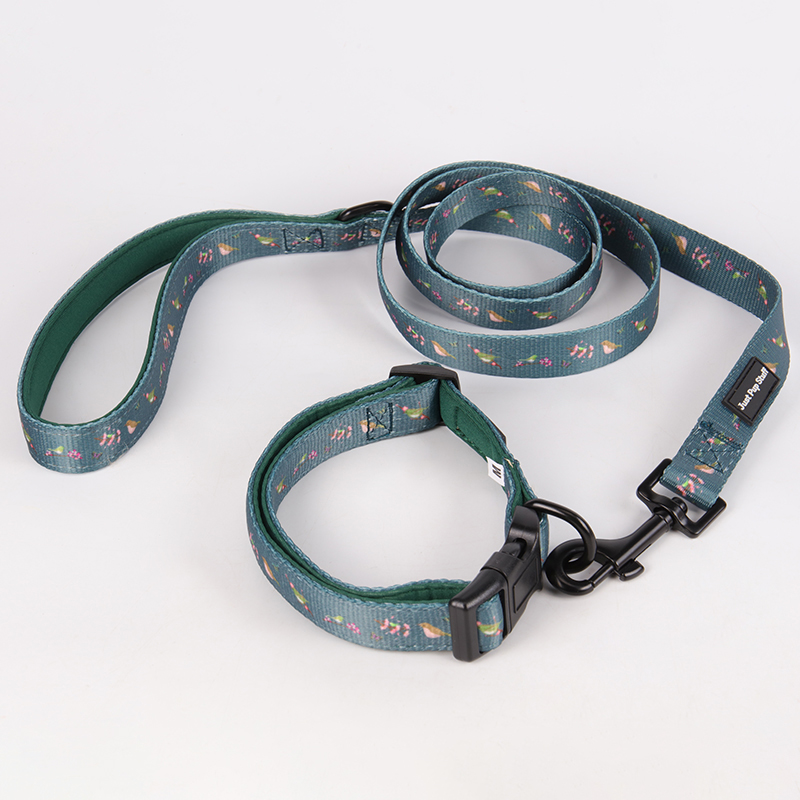 OKEYPETS Offre spéciale : accessoires pour chiens personnalisés gratuits, laisse et collier à prix avantageux. 24