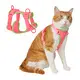 Breathable Printed Dog Harness 6
