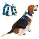 Breathable Printed Dog Harness 7