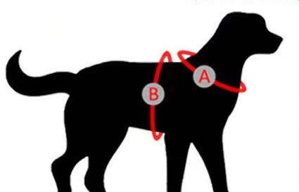 Harnais de protection pour chat et chien avec ventilation réglable et couleurs assorties 8