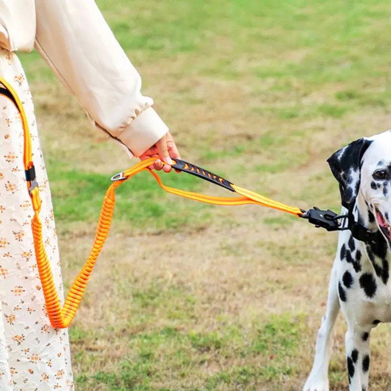 Holdbar reflekterende elastisk hundesnor - ideel til træning 4
