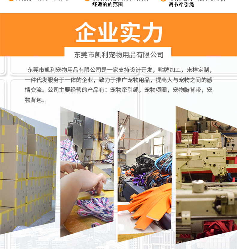 Collier et laisse tactiques en nylon OKEYPETS pour chien. Collier de dressage souple avec boucle militaire et poignée de contrôle. 24