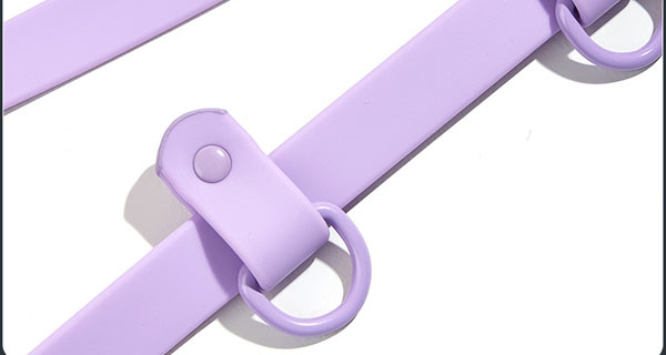 Laisse pour chien mains libres en PVC imperméable à double mousqueton, vente en gros 12