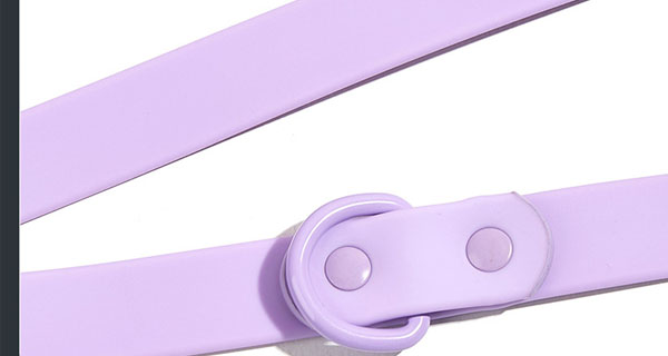 Laisse pour chien mains libres en PVC imperméable à double mousqueton, vente en gros 11