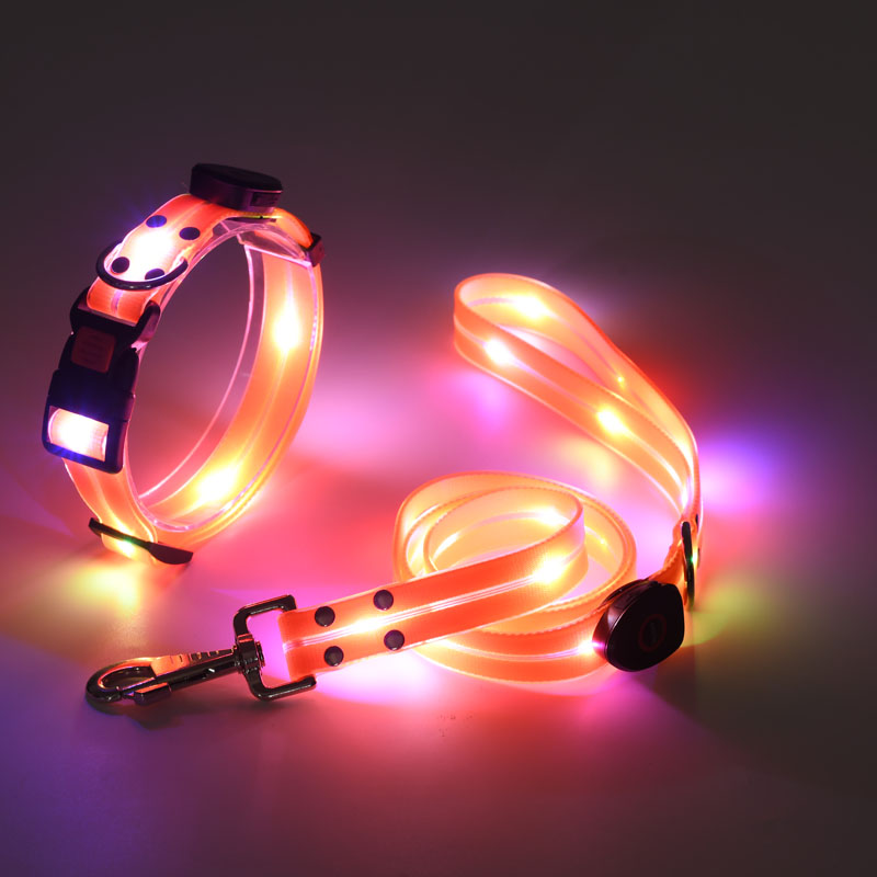 Laisse imperméable en PVC pour chiens de taille moyenne et grande, en vente en gros. 31