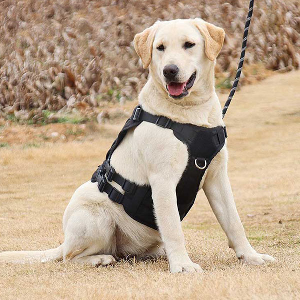 Wholesale Pet Tactical Vest Heavy Duty Outdoor Pet Training Dogs Gilet Tactique 19