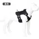 OKEYPETS | OEM step in dog harness with front clip supplier 4