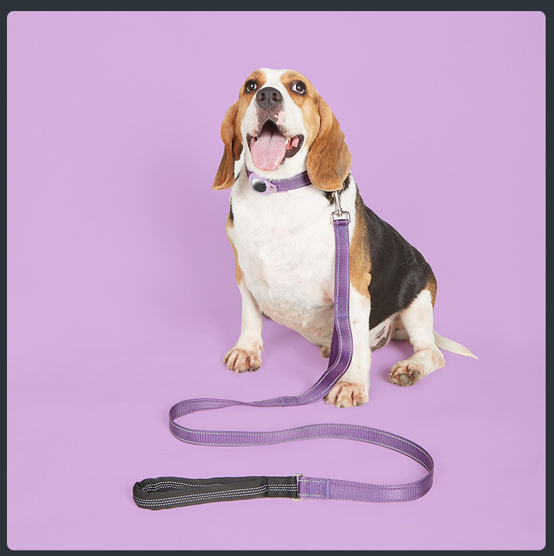 Ensemble collier et laisse GPS de dressage de luxe et ultra-résistant pour chien de taille moyenne à grande. 14