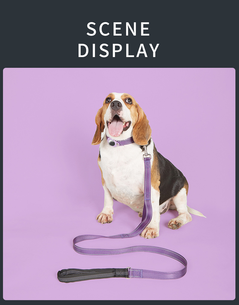 Ensemble collier et laisse GPS de dressage de luxe et ultra-résistant pour chien de taille moyenne à grande. 29