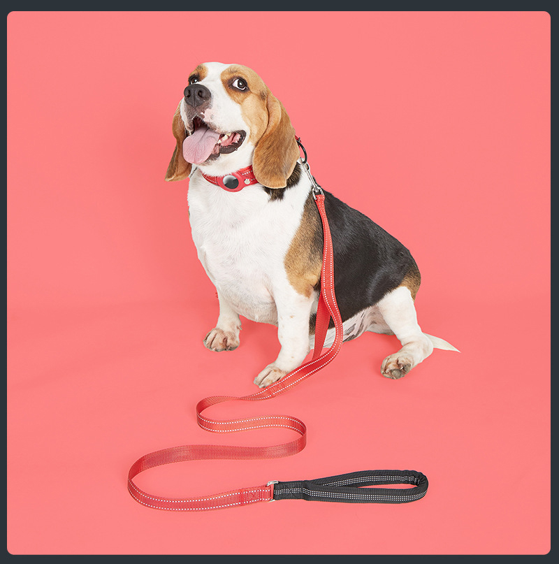 Ensemble collier et laisse GPS de dressage de luxe et ultra-résistant pour chien de taille moyenne à grande. 9