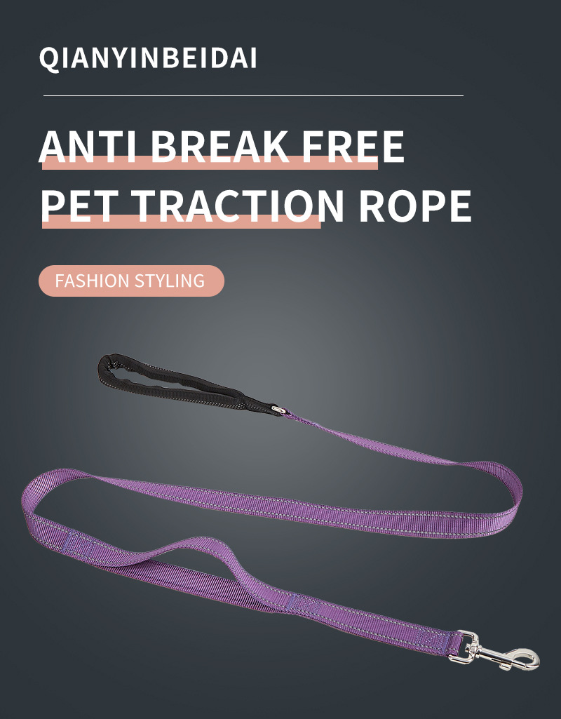 Ensemble collier et laisse GPS de dressage de luxe et ultra-résistant pour chien de taille moyenne à grande. 24