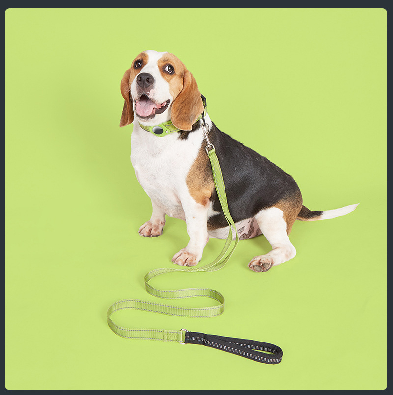 Ensemble collier et laisse GPS de dressage de luxe et ultra-résistant pour chien de taille moyenne à grande. 12