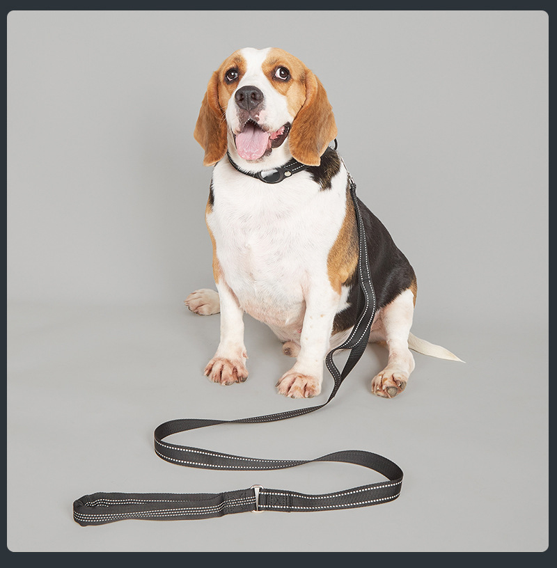 Ensemble collier et laisse GPS de dressage de luxe et ultra-résistant pour chien de taille moyenne à grande. 15
