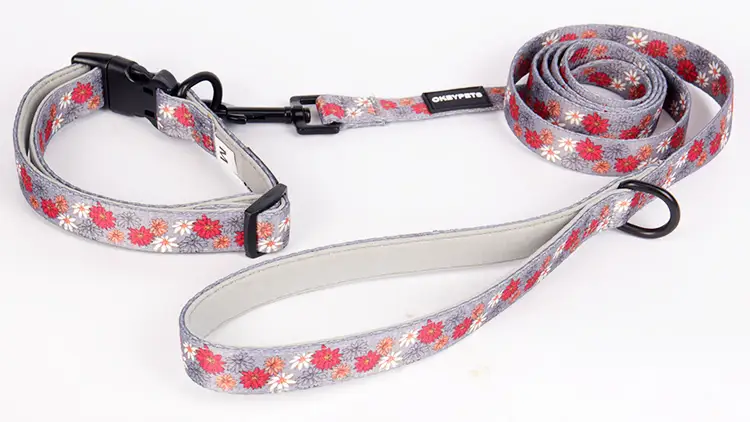 OKEYPETS Colliers et laisses personnalisés, écologiques, doux, rembourrés et réglables pour chiens 1