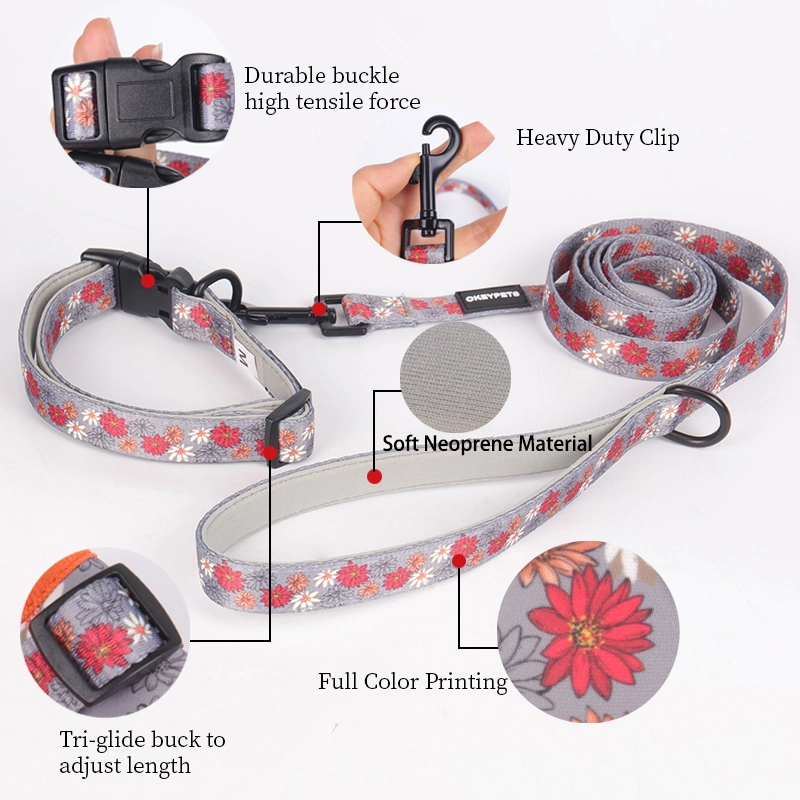 OKEYPETS Colliers et laisses personnalisés, écologiques, doux, rembourrés et réglables pour chiens 9