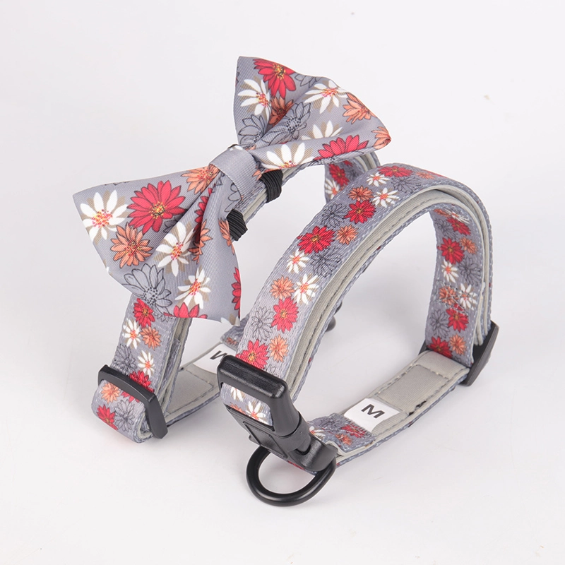 OKEYPETS Colliers et laisses personnalisés, écologiques, doux, rembourrés et réglables pour chiens 11