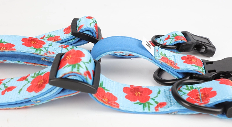 Coiléar Madra Sublimation, Gabhálais Madraí Bog Inchoigeartaithe Saincheaptha OKEYPETS 13