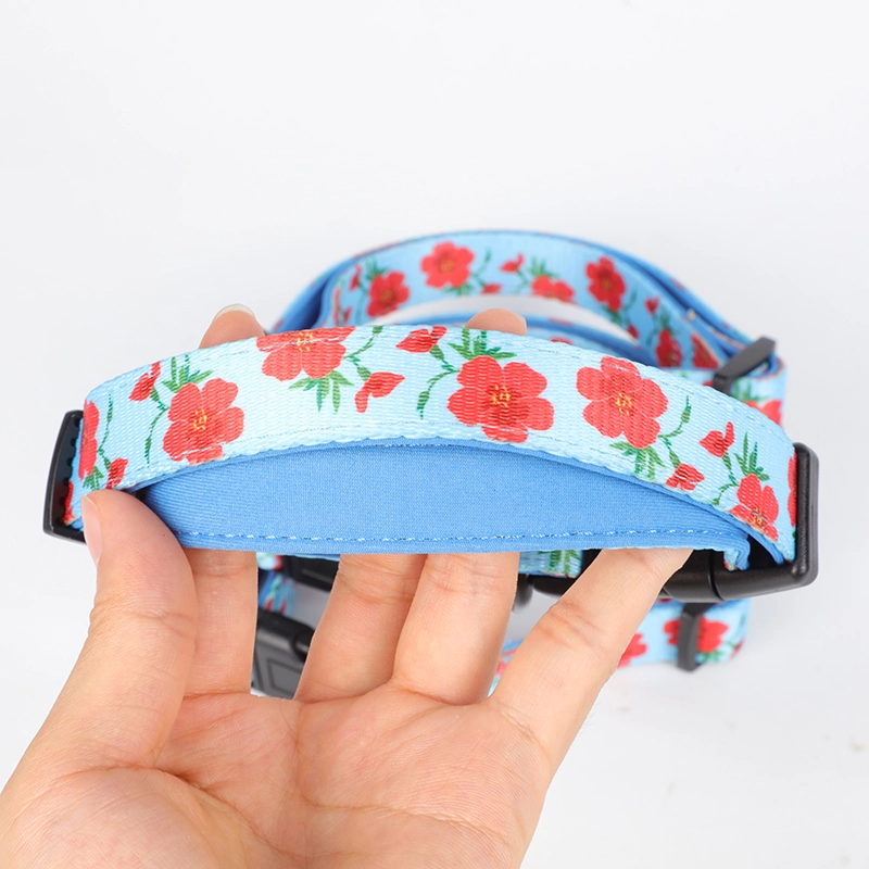 Coiléar Madra Sublimation, Gabhálais Madraí Bog Inchoigeartaithe Saincheaptha OKEYPETS 11