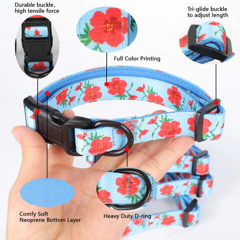 Coiléar Madra Sublimation, Gabhálais Madraí Bog Inchoigeartaithe Saincheaptha OKEYPETS 7