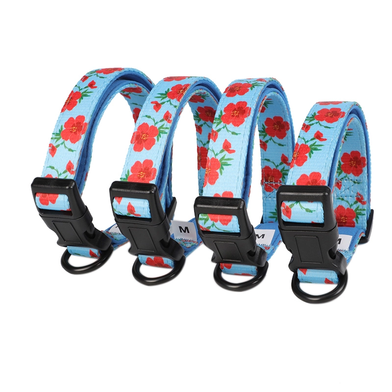 Coiléar Madra Sublimation, Gabhálais Madraí Bog Inchoigeartaithe Saincheaptha OKEYPETS 8