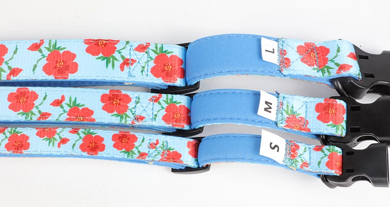 Coiléar Madra Sublimation, Gabhálais Madraí Bog Inchoigeartaithe Saincheaptha OKEYPETS 12