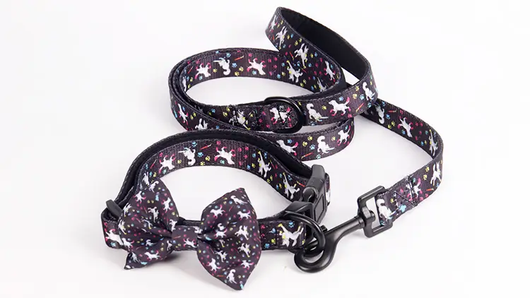 OKEYPETS Produits pour animaux de compagnie en néoprène souple, ensemble laisse et collier ajustable, adorable et tendance 1