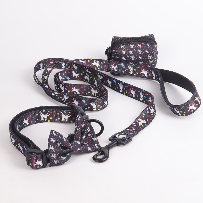 OKEYPETS Produits pour animaux de compagnie en néoprène souple, ensemble laisse et collier ajustable, adorable et tendance 10