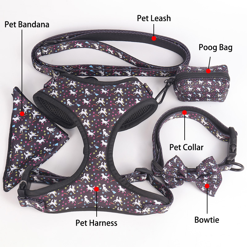 OKEYPETS Produits pour animaux de compagnie en néoprène souple, ensemble laisse et collier ajustable, adorable et tendance 15