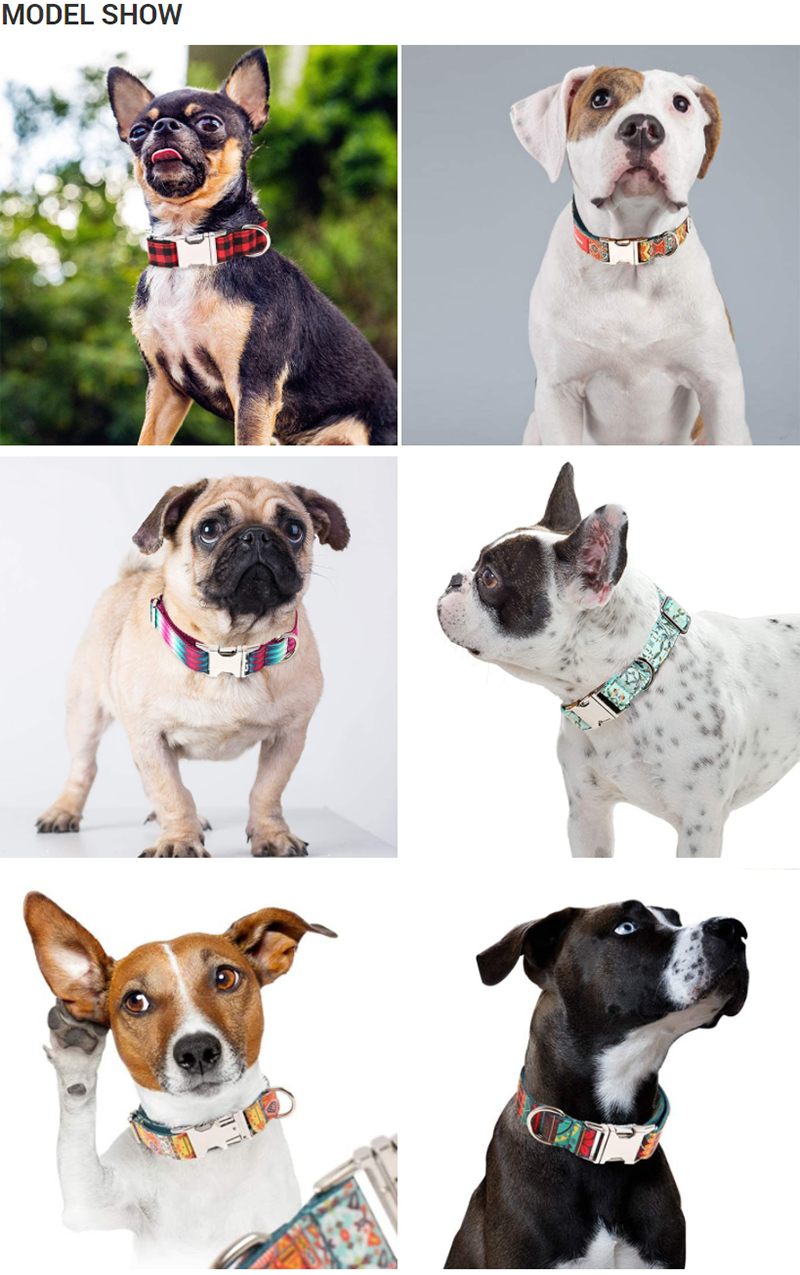 OKEYPETS Dual Purpose Design Comfortable Adjustable Personalized Double Layer Fabric Metal Buckle Luxury Dog Collar 20