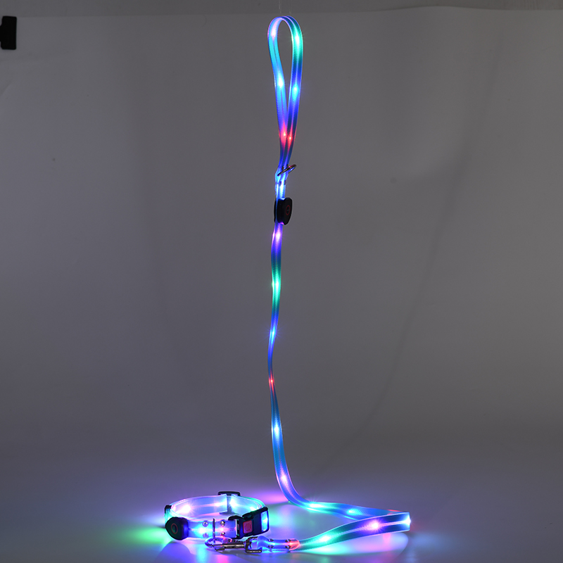 Collier pour chien lumineux LED durable et protecteur pour chiot la nuit 10