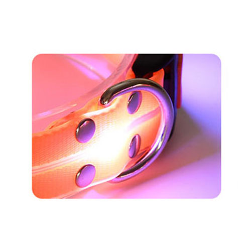 Collier pour chien lumineux LED durable et protecteur pour chiot la nuit 18