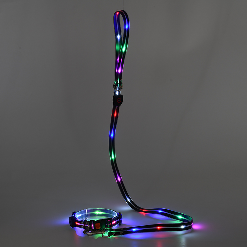 Collier pour chien lumineux LED durable et protecteur pour chiot la nuit 11