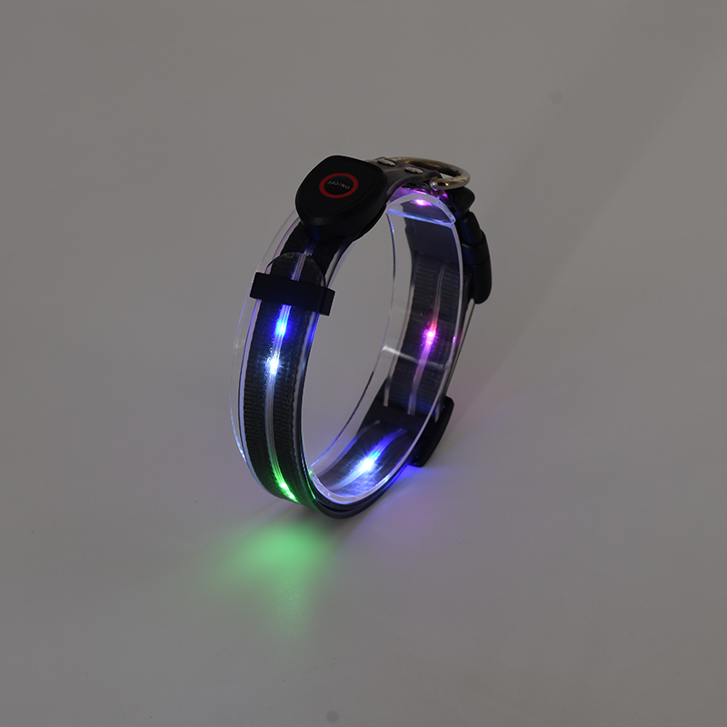 Collier pour chien lumineux LED durable et protecteur pour chiot la nuit 15