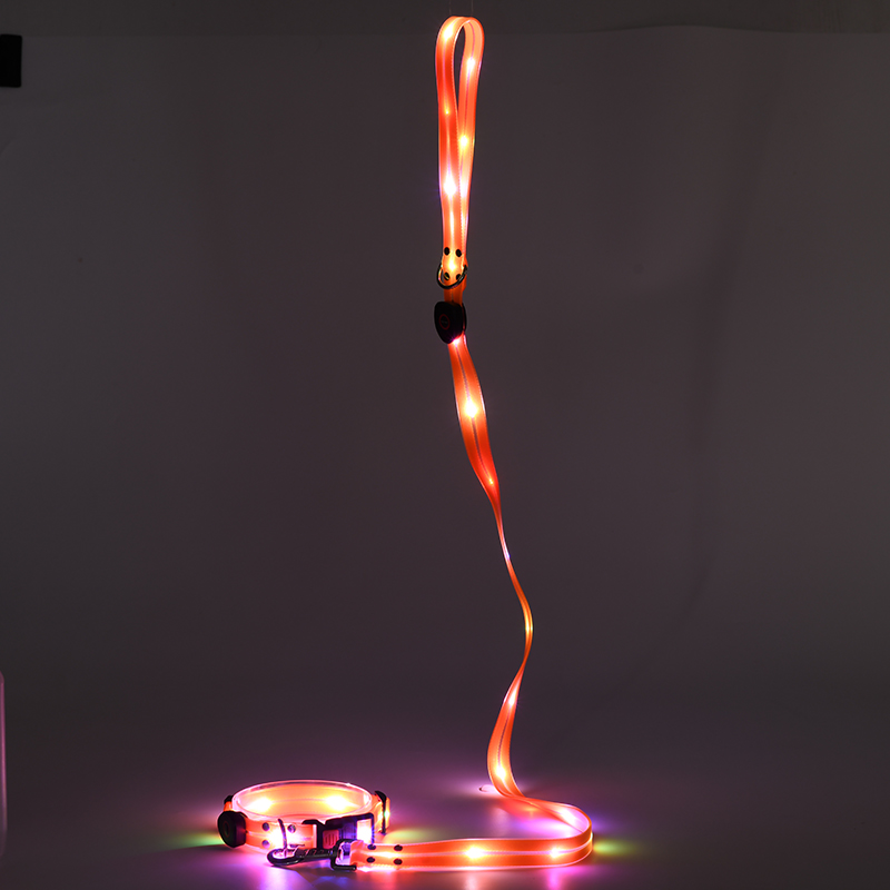 Collier pour chien lumineux LED durable et protecteur pour chiot la nuit 9