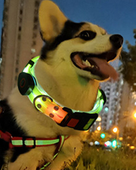 Laisse pour chien rechargeable par USB avec lampe torche LED (4 couleurs disponibles) 21