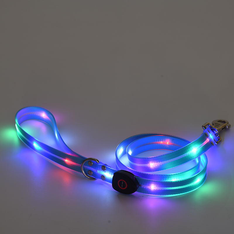 Laisse pour chien rechargeable par USB avec lampe torche LED (4 couleurs disponibles) 10