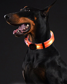 Laisse pour chien rechargeable par USB avec lampe torche LED (4 couleurs disponibles) 20