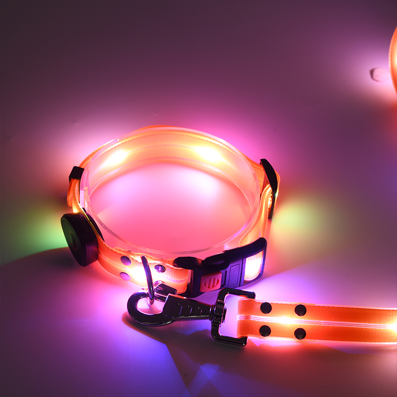 Laisse pour chien rechargeable par USB avec lampe torche LED (4 couleurs disponibles) 13