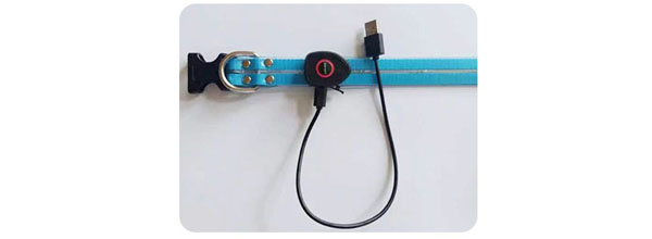 Laisse pour chien rechargeable par USB avec lampe torche LED (4 couleurs disponibles) 16