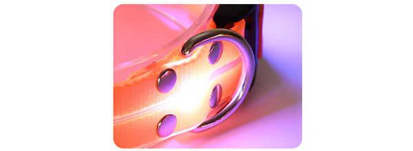 Laisse pour chien rechargeable par USB avec lampe torche LED (4 couleurs disponibles) 17