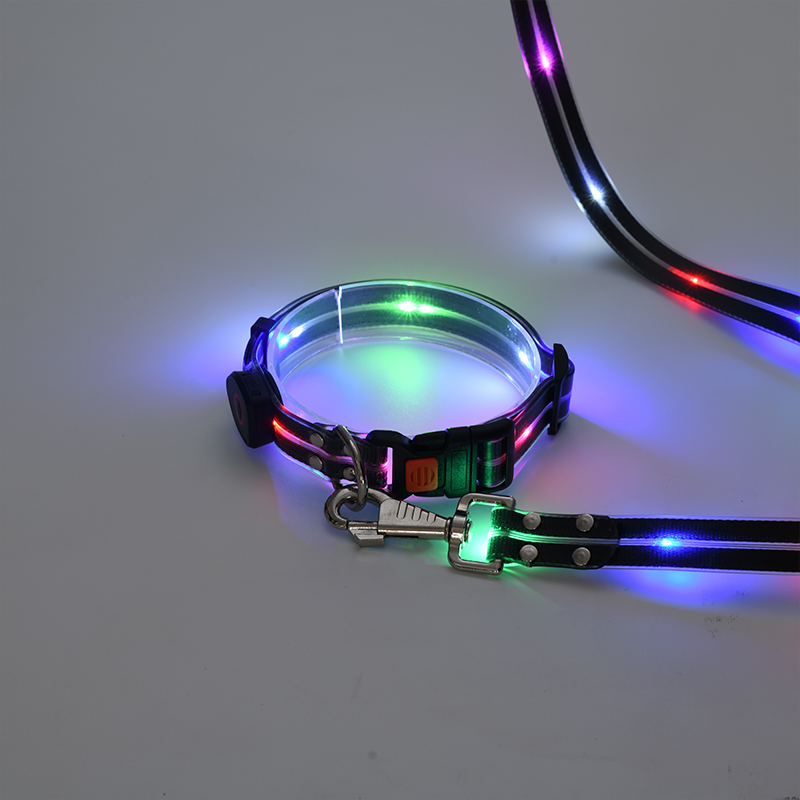 Laisse pour chien rechargeable par USB avec lampe torche LED (4 couleurs disponibles) 15
