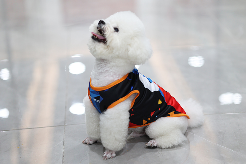 Maillot personnalisé OKEYPETS pour chiens et chats : matières extensibles de qualité supérieure pour un confort optimal. 14