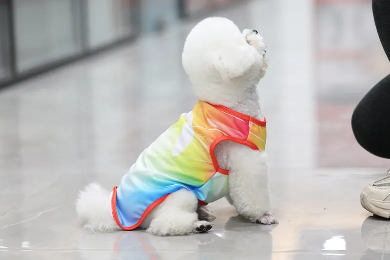 Hunde-Fußballtrikot für sportliche Haustiere 6